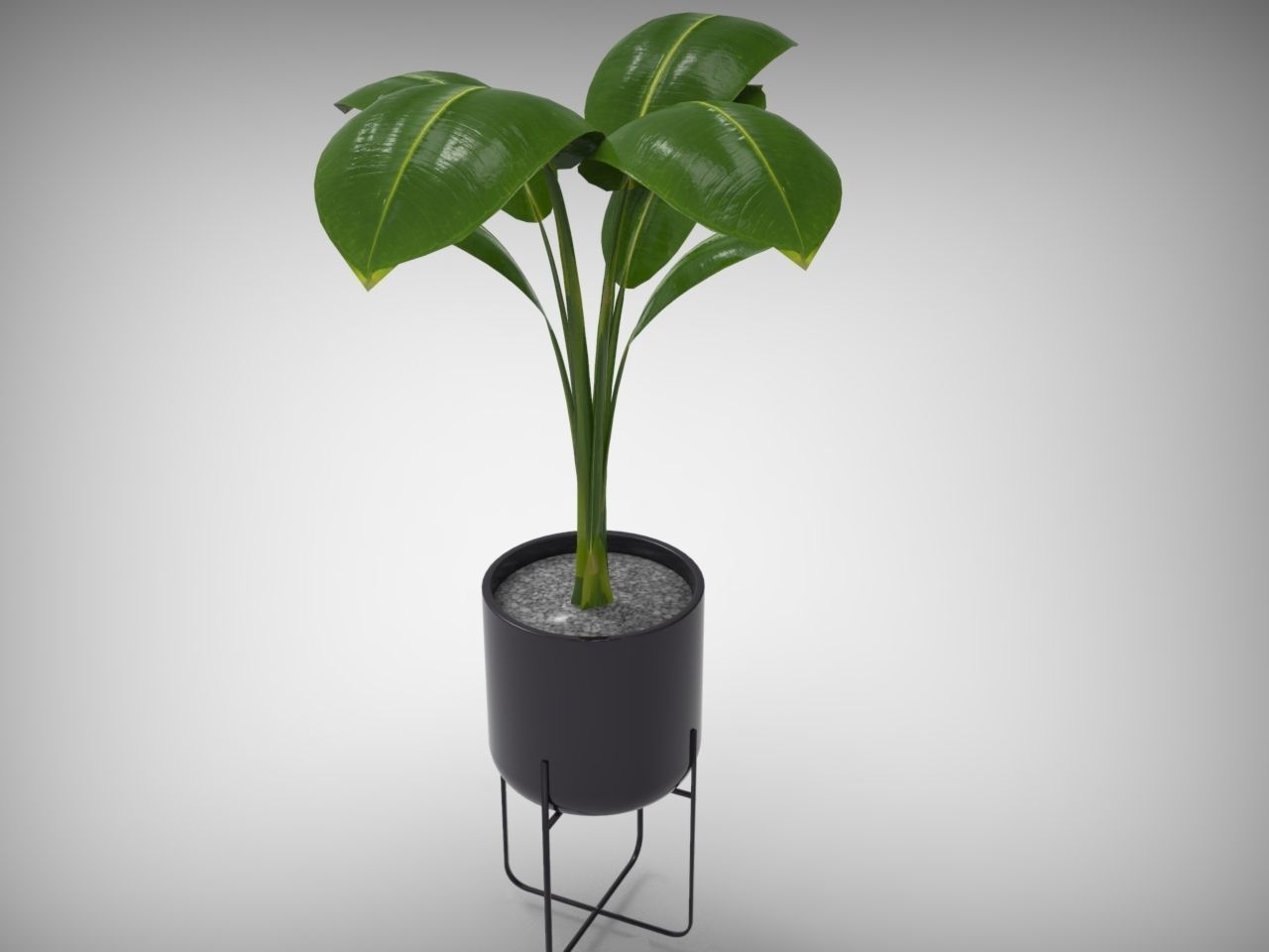 Planter Pot 3D model_3