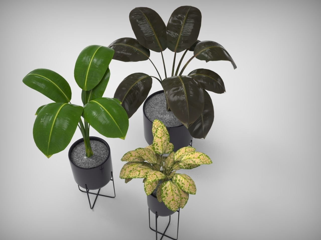 Planter Collection plant in pot _1