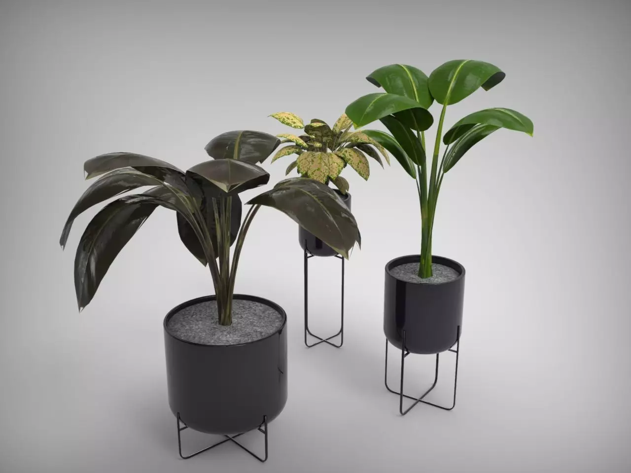 Planter Collection plant in pot _0