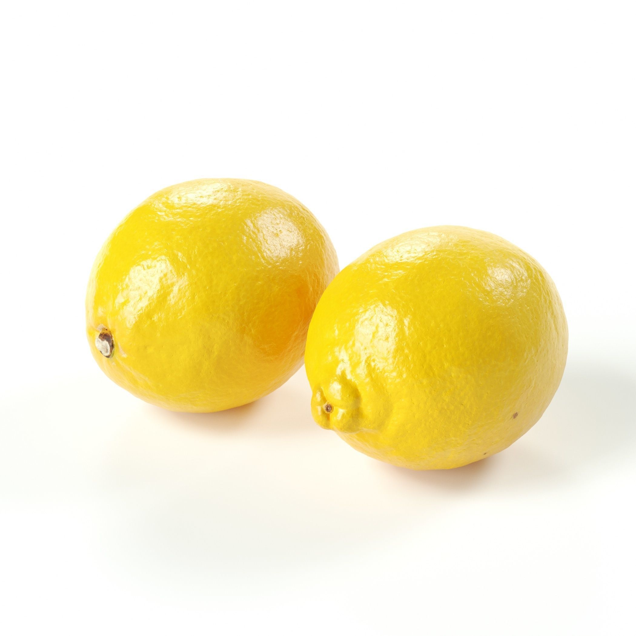 POLYPASTA - lemon 01 3D model_2