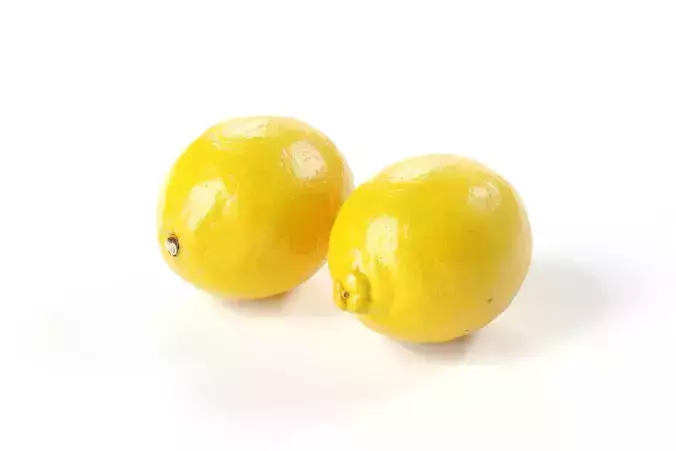 POLYPASTA - lemon 01