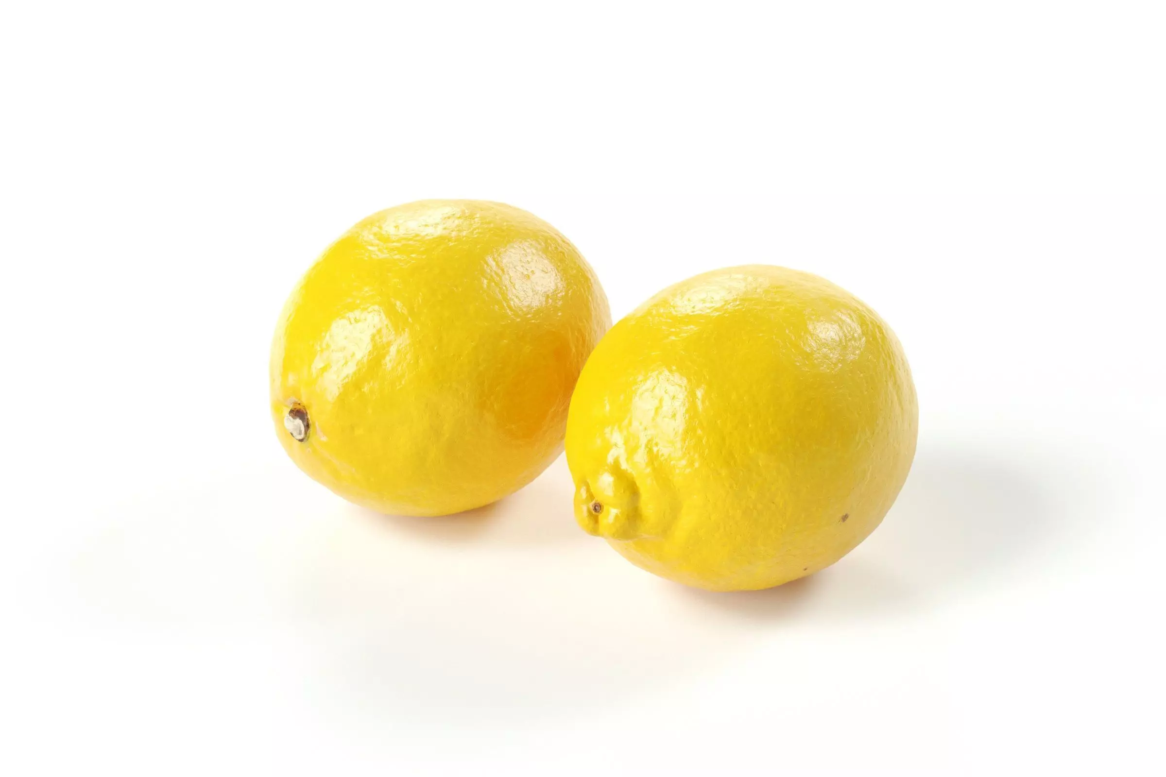 POLYPASTA - lemon 01 3D model_0