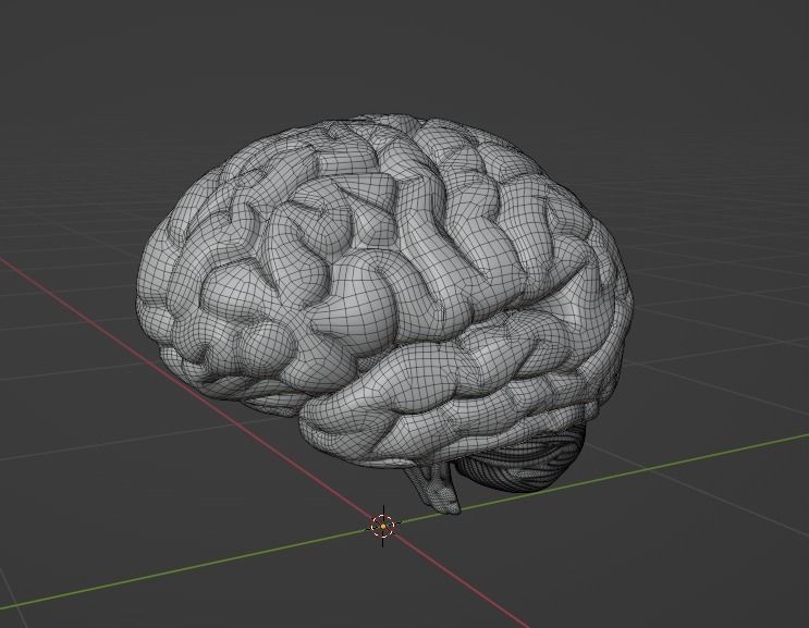 Human Brain Low-poly 3D model_3