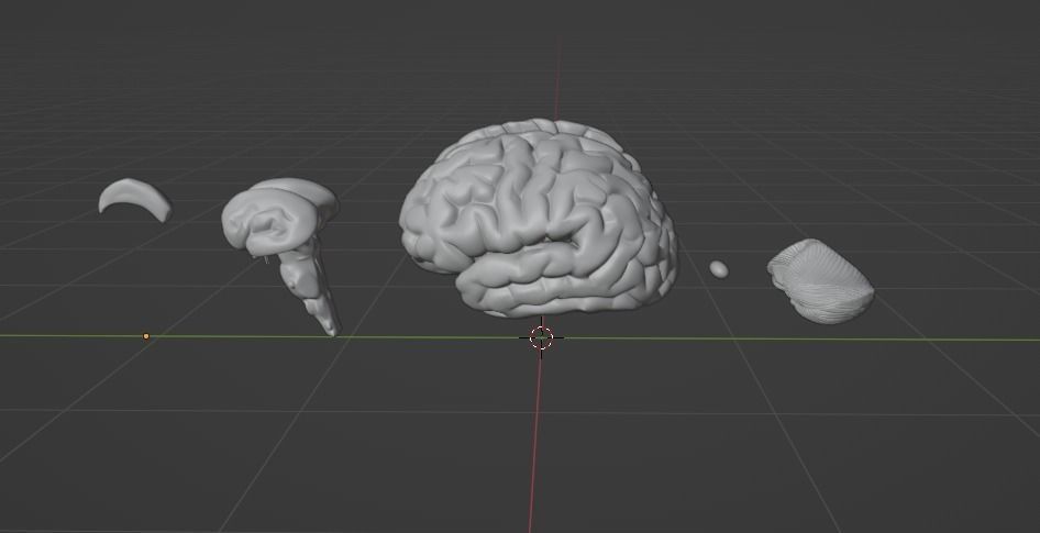 Human Brain Low-poly 3D model_5