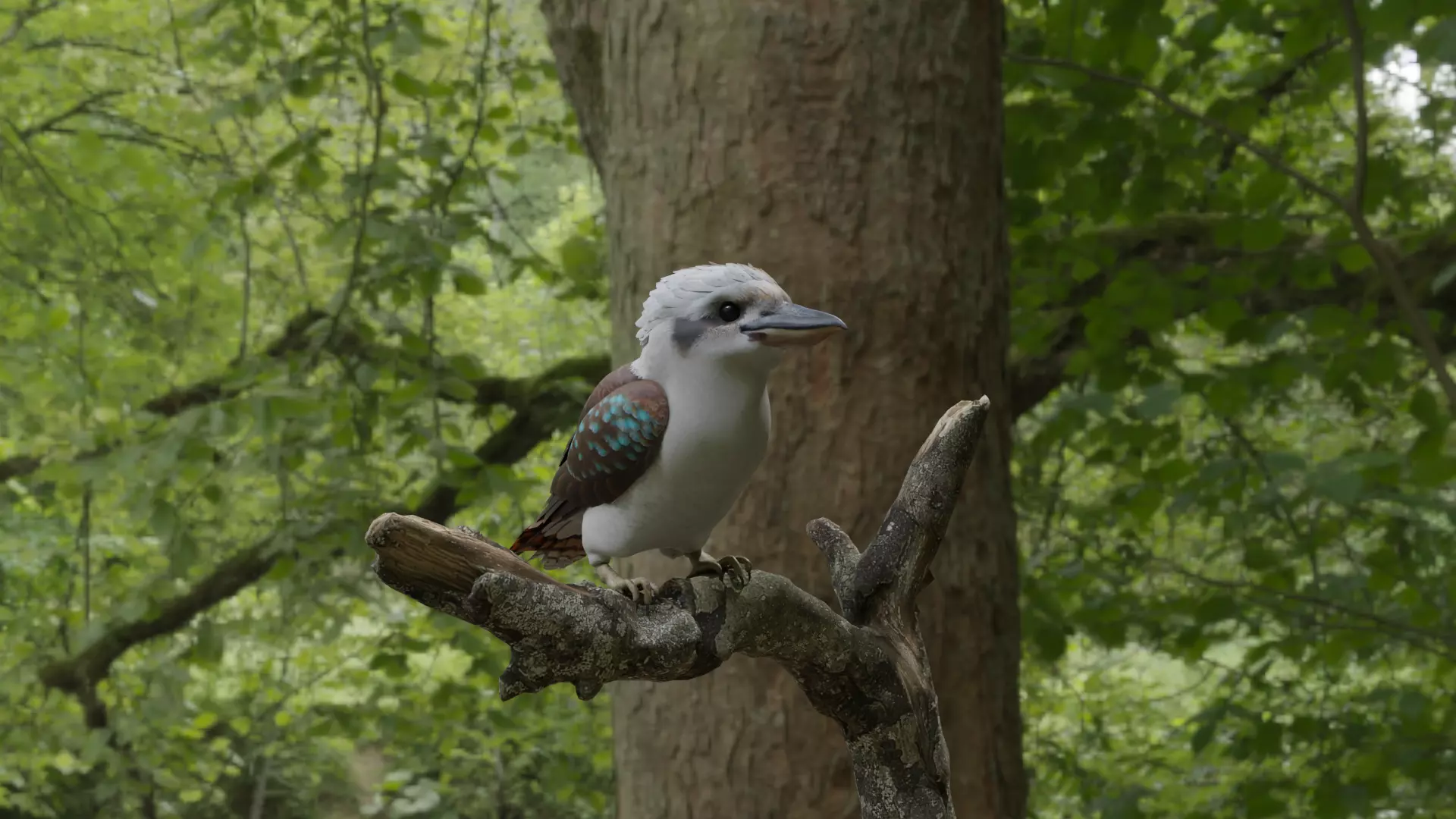 Kookaburra bird perched on tree branch Low-poly 3D model_0