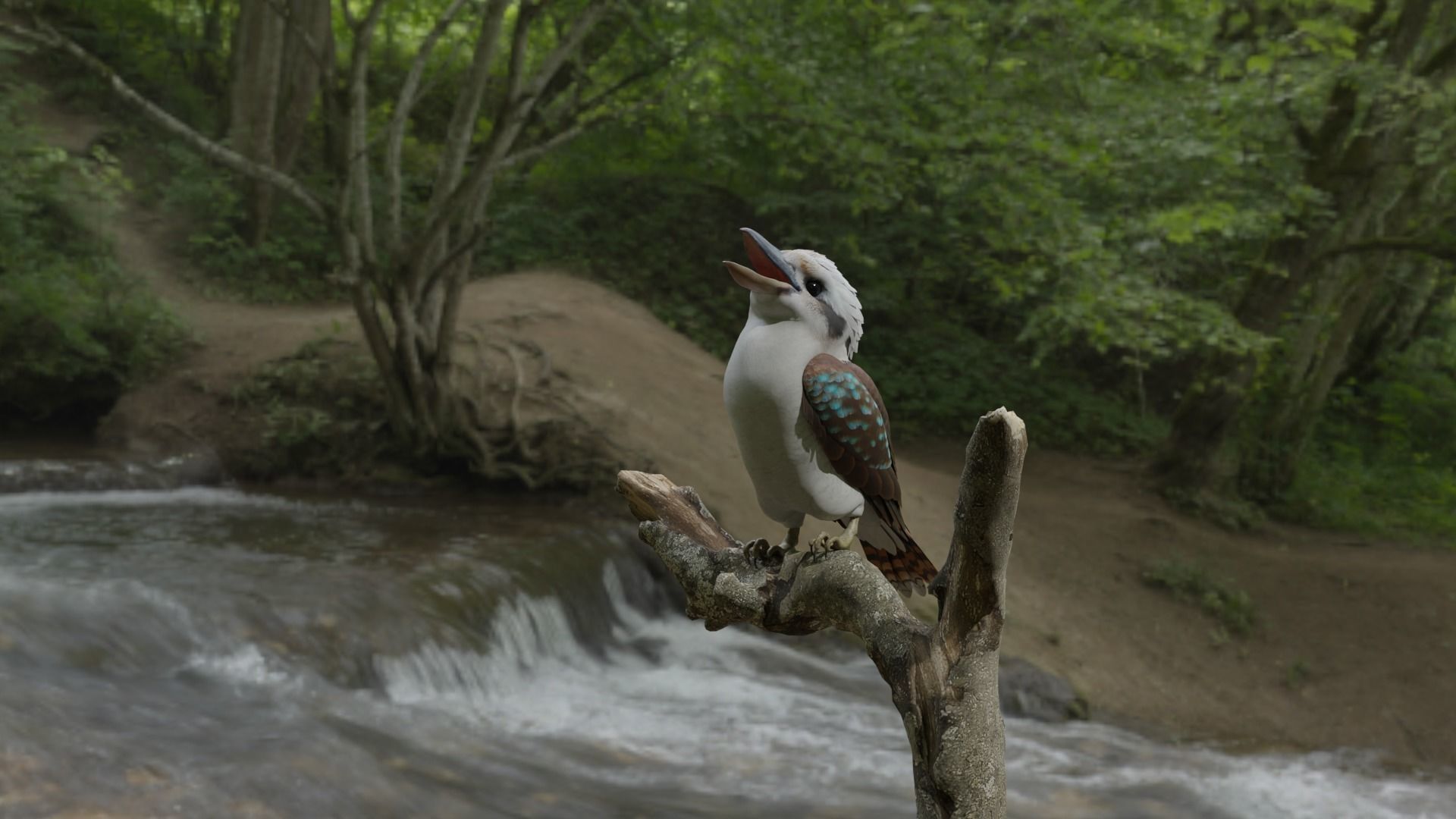 Kookaburra bird perched on tree branch Low-poly 3D model_1