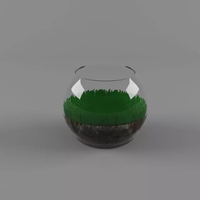 Grass Terrarium 3D model