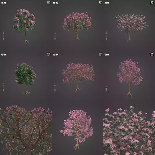 2021 PBR Rosy Trumpet Tree Collection - Tabeuia Rosea  Free 3D model