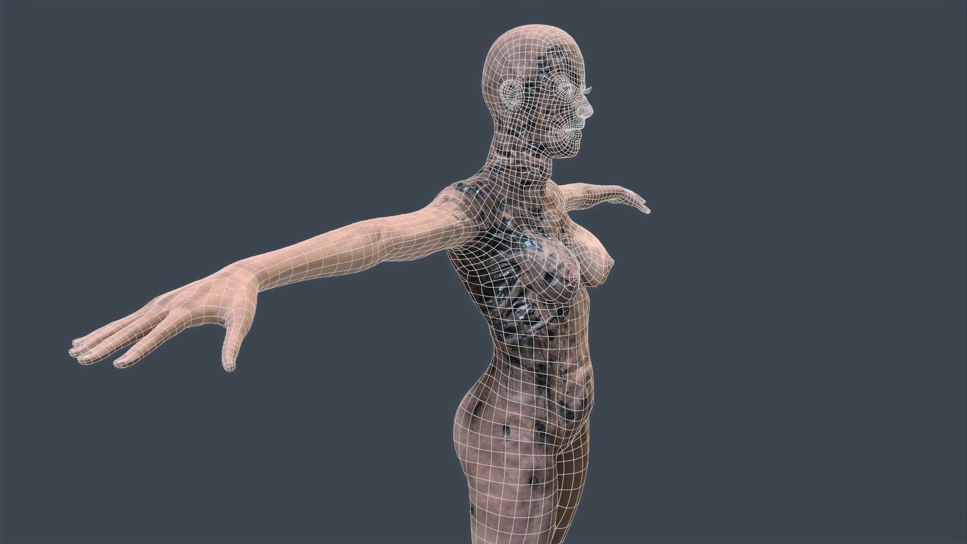 Female Zombie Game Ready 3D model_13