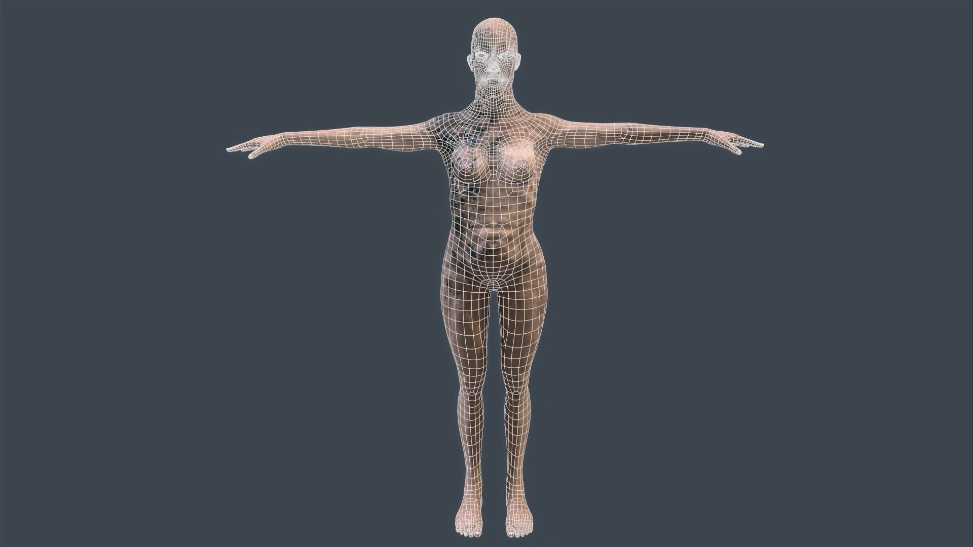 Female Zombie Game Ready 3D model_14