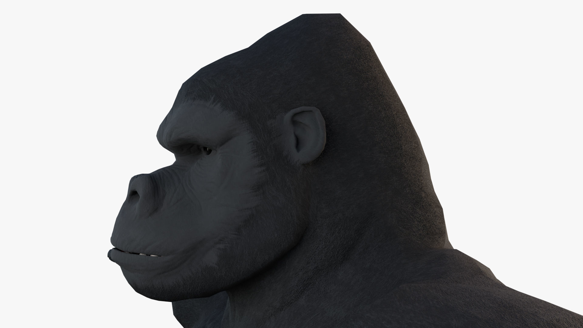 Gorilla - King Kong - v2 Low-poly 3D model_15
