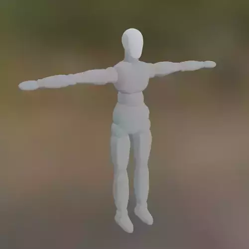 Basic Human Mannequin