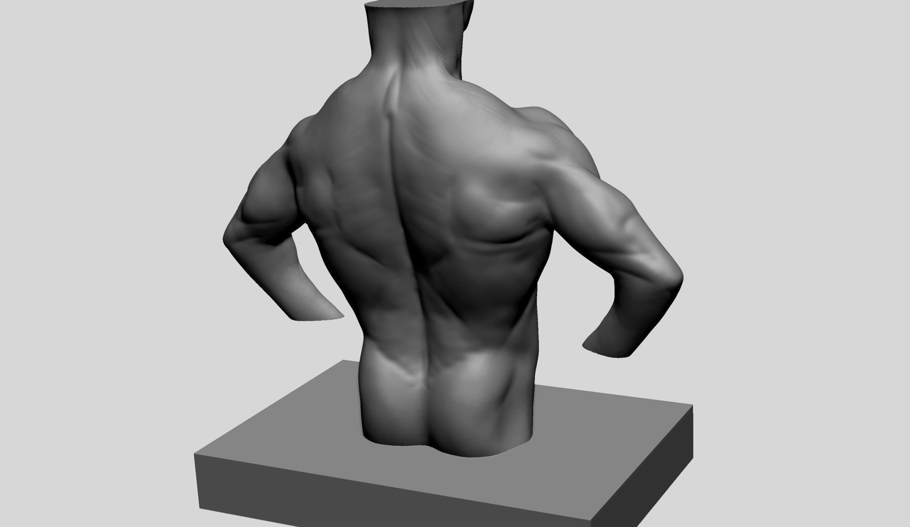 Male Torso v13 3D print model_8