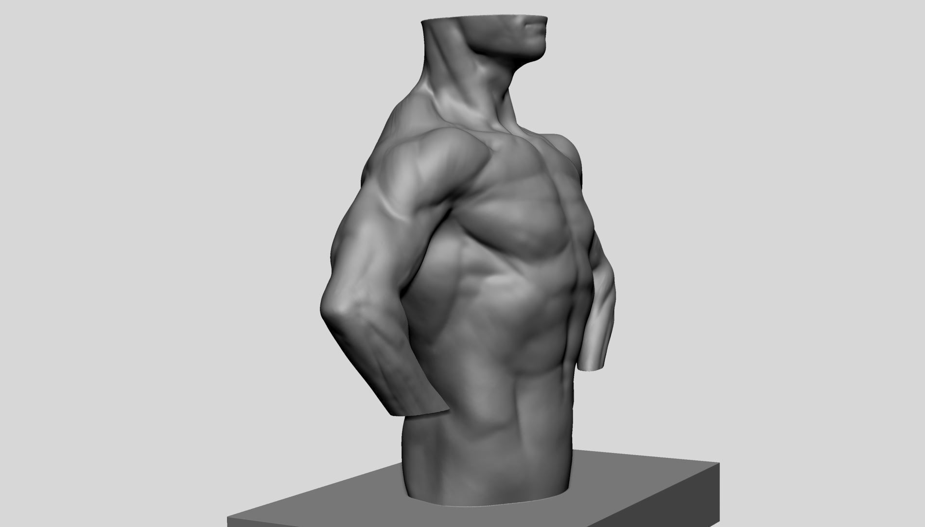Male Torso v13 3D print model_2