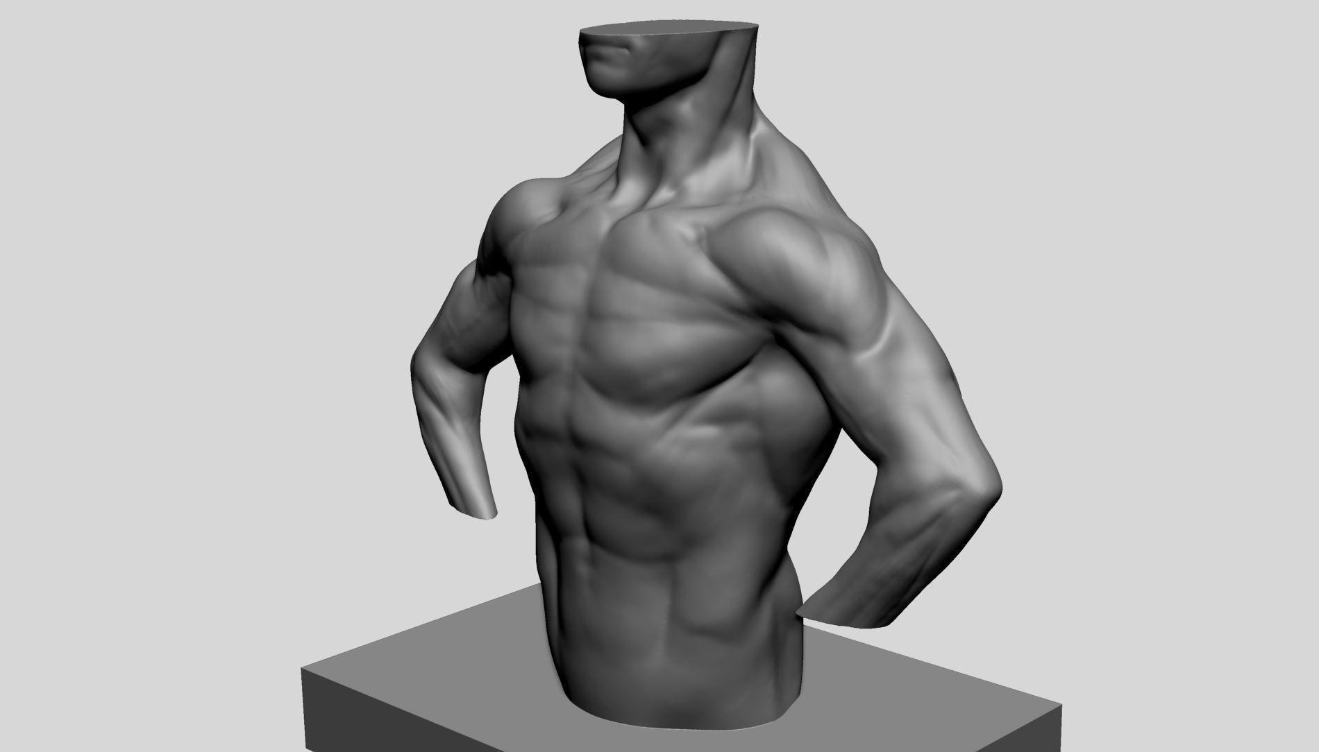 Male Torso v13 3D print model_4