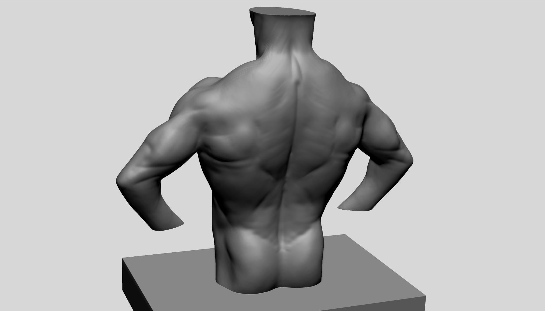 Male Torso v13 3D print model_6