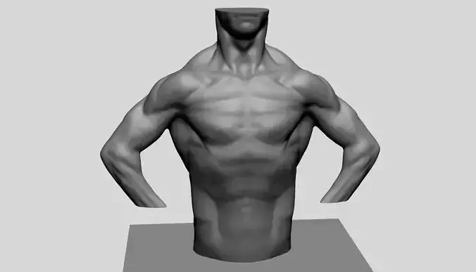 Male Torso v13