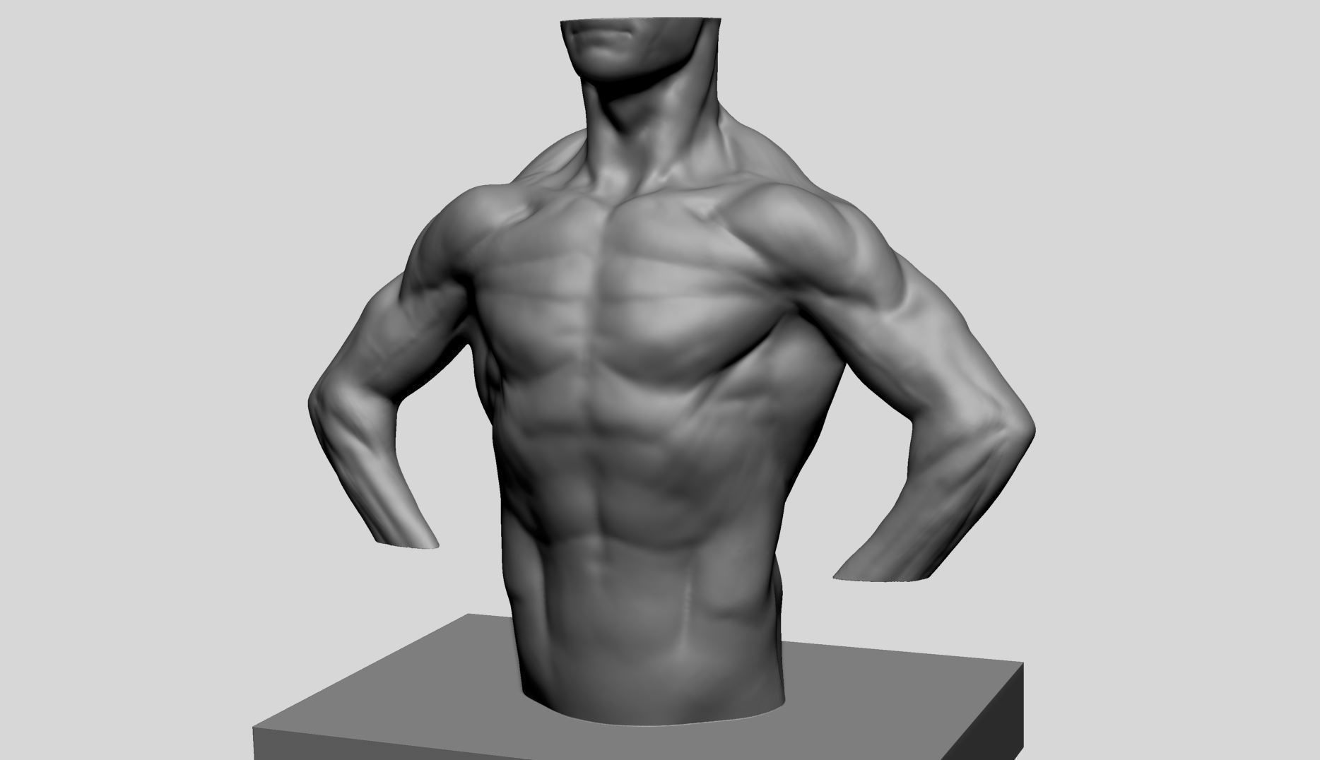 Male Torso v13 3D print model_3