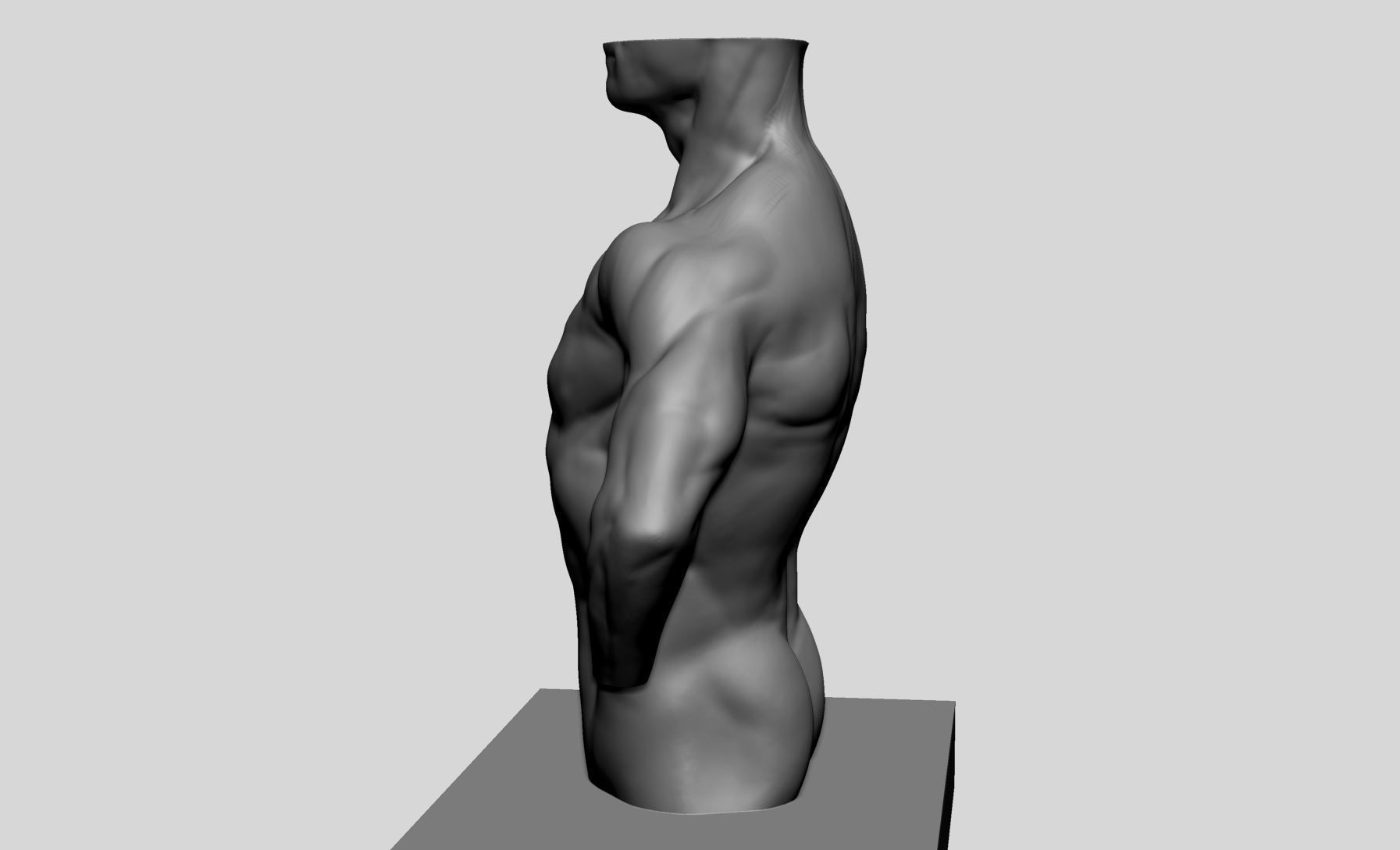Male Torso v13 3D print model_5