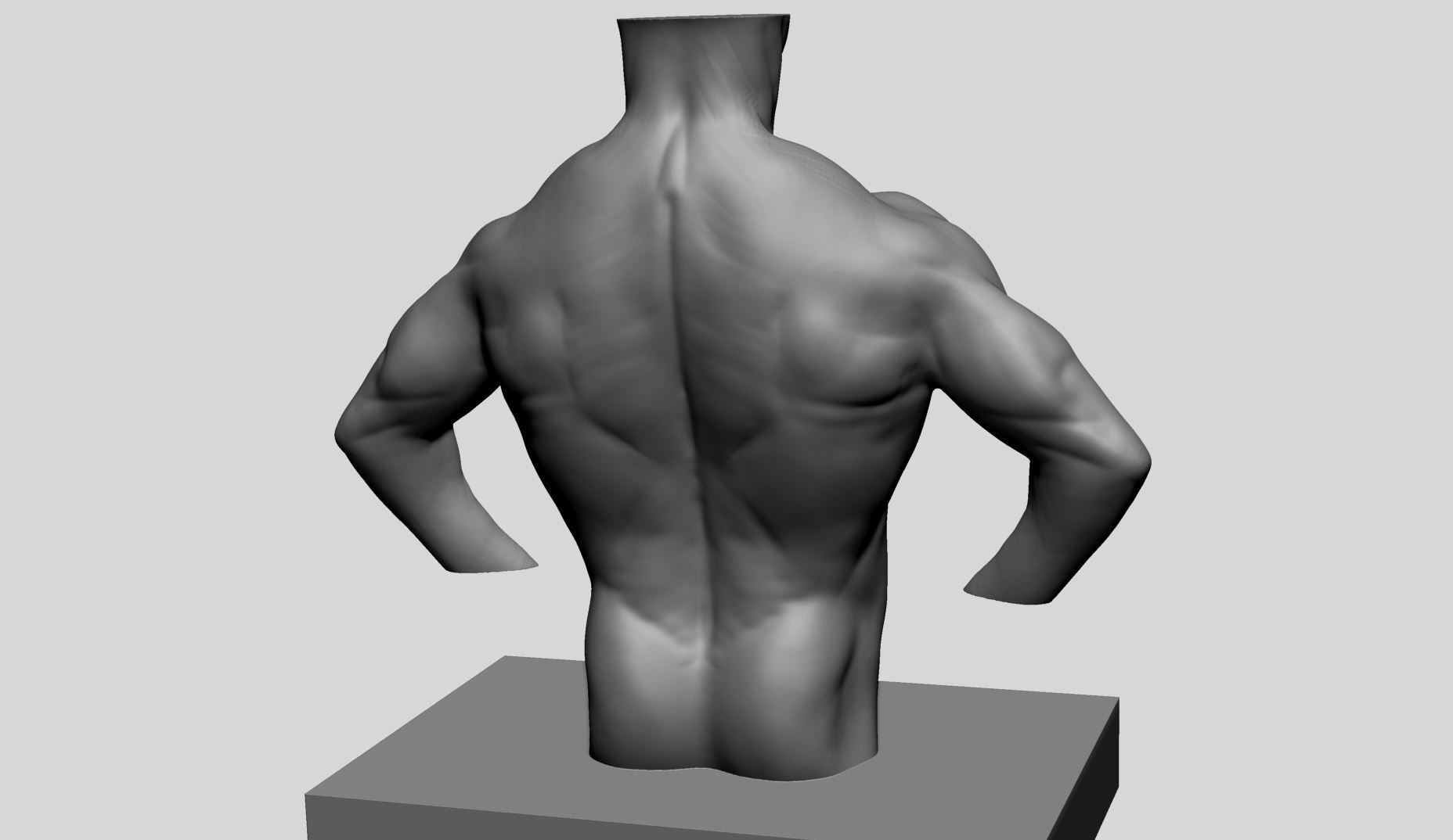 Male Torso v13 3D print model_7