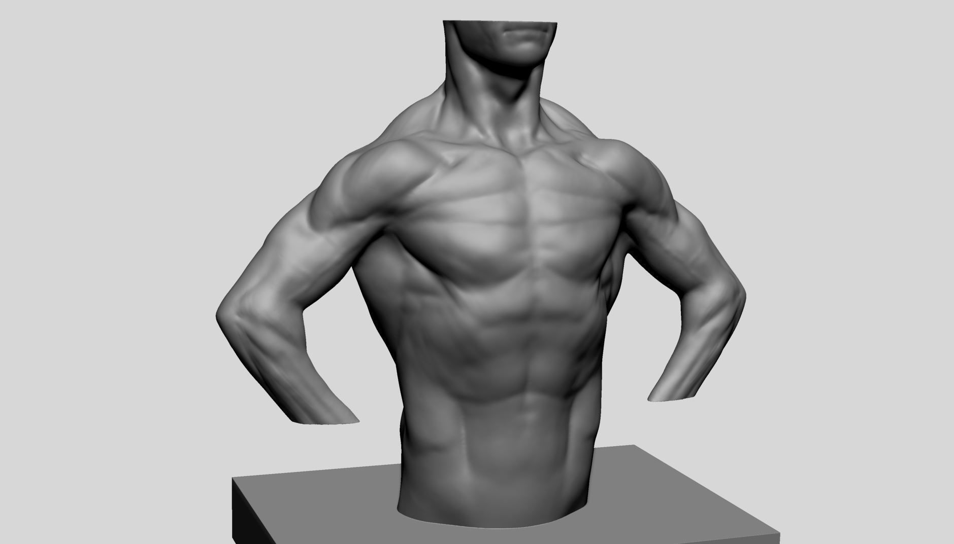 Male Torso v13 3D print model_1