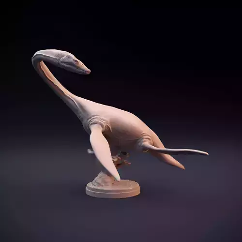 Plesiosaurus intended for 3D printing 3D print model