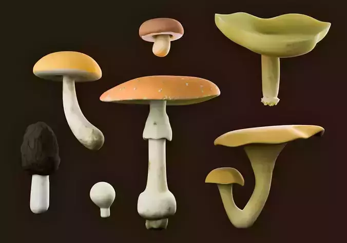Fungi Pack - Textured