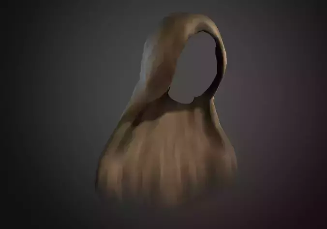 light brown long hair