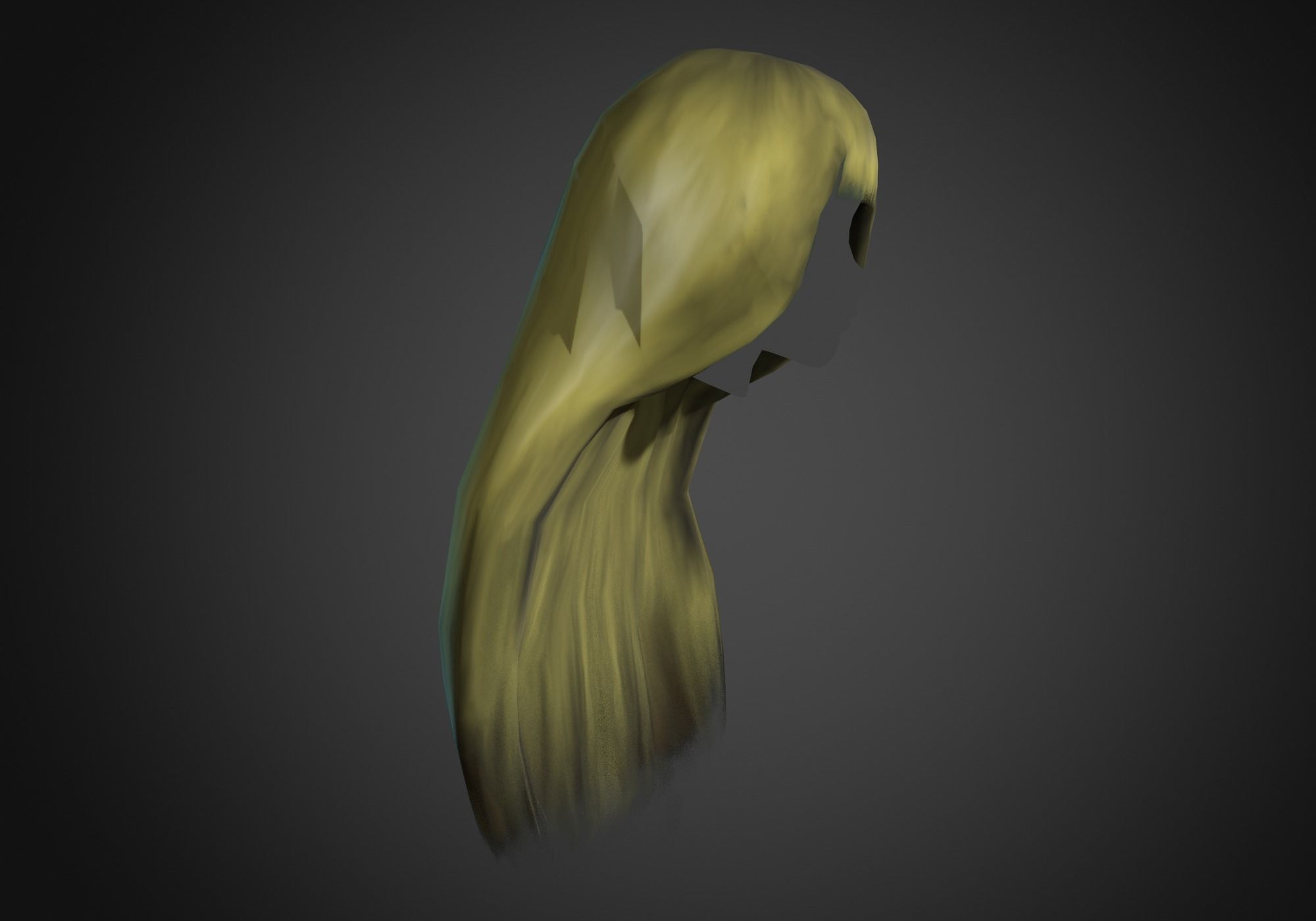 blond long hair Low-poly 3D model_1