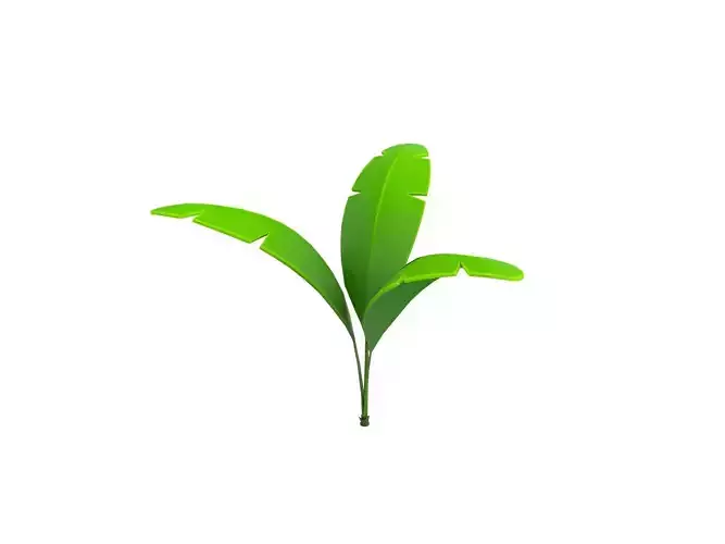 Low Poly Banana Plant 002