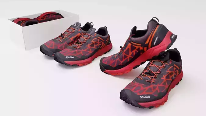 Pair of trekking shoes sneakers outdoor footwear
