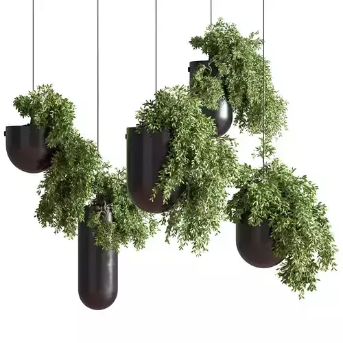 IndoorPlantsHangingPotMetalVase01 five pendant lights hanging... 3D model
