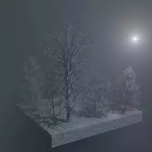 A little piece of Forest with a full moon on the backside 