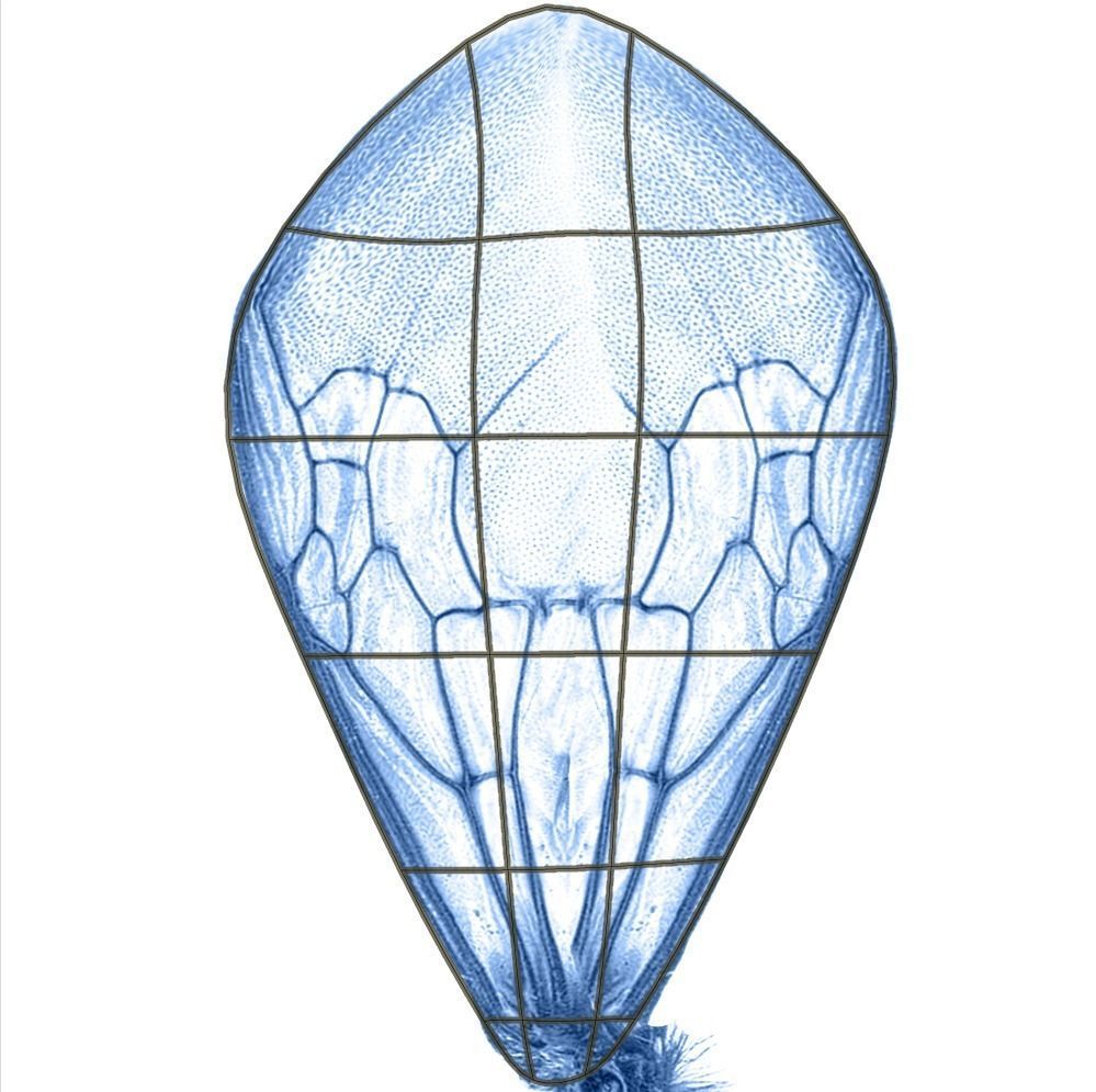 Bee cartoon character 3D 3D model_7