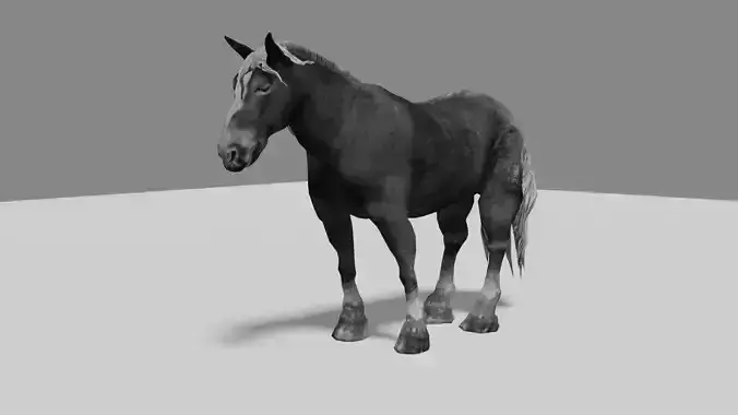 Black Wild Horse fully rigged Low-poly 3D model