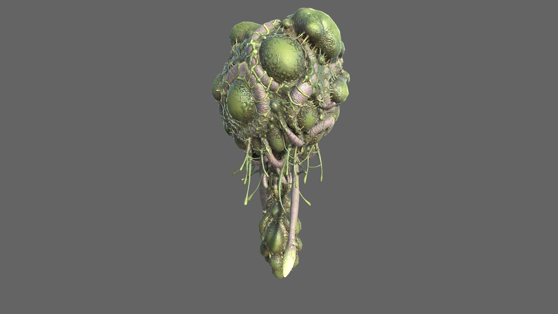 Alien Brain Low-poly 3D model_6