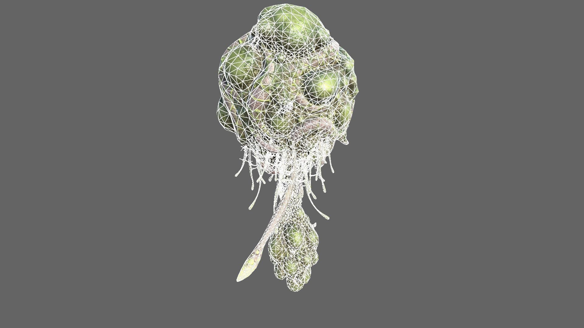 Alien Brain Low-poly 3D model_16