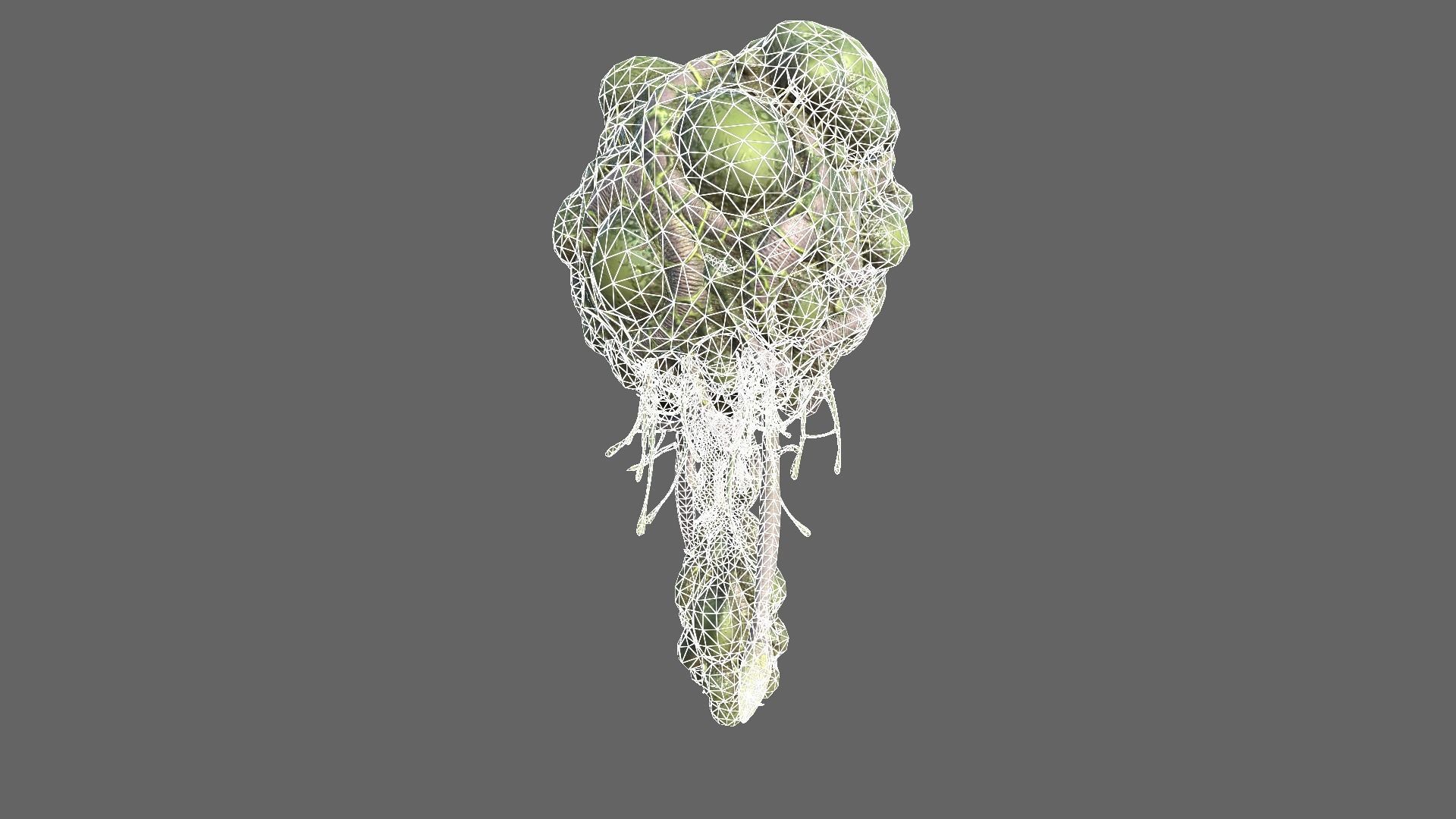 Alien Brain Low-poly 3D model_15