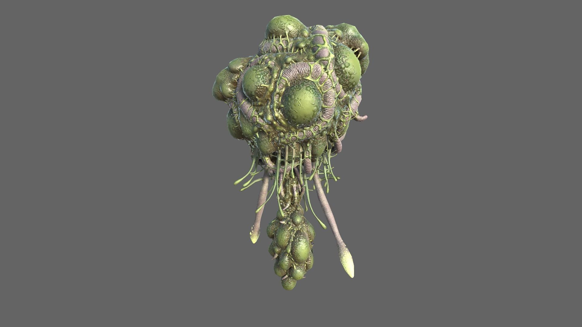 Alien Brain Low-poly 3D model_5