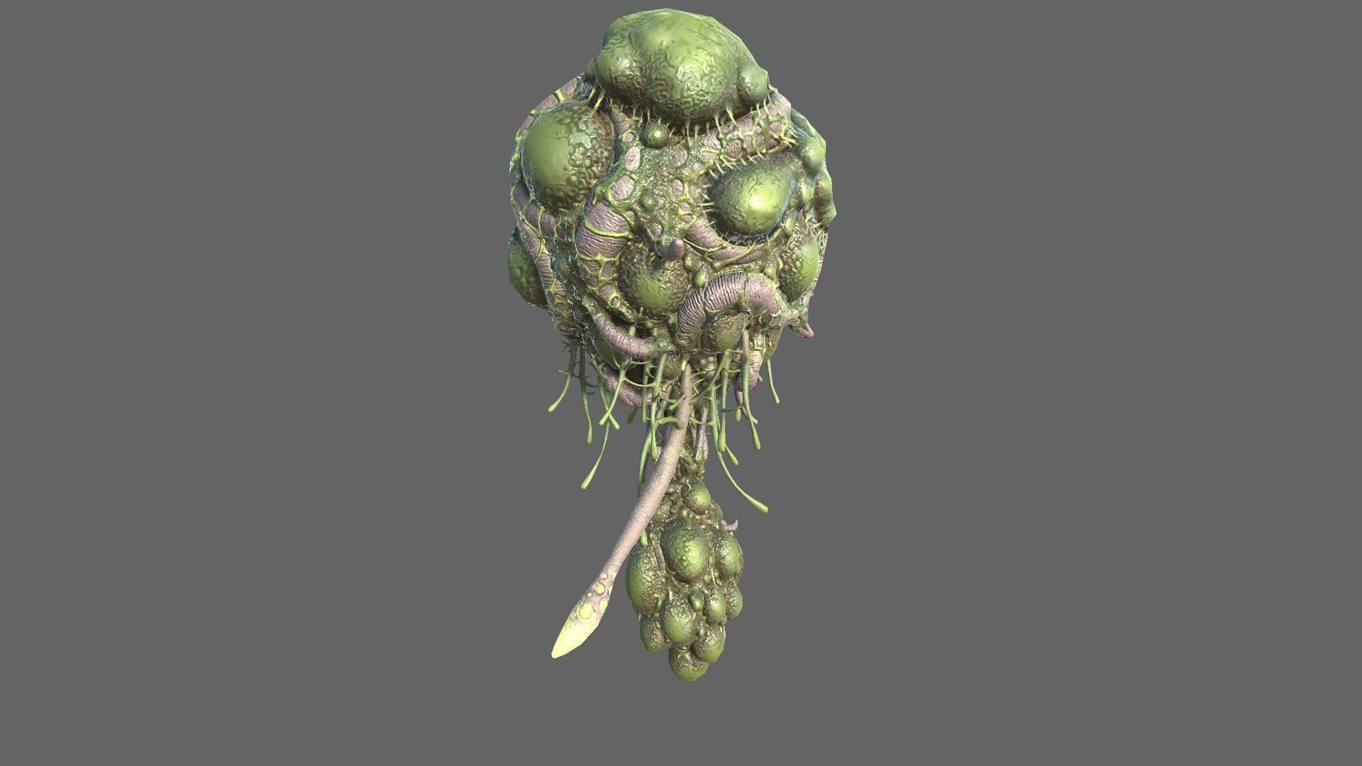 Alien Brain Low-poly 3D model_7