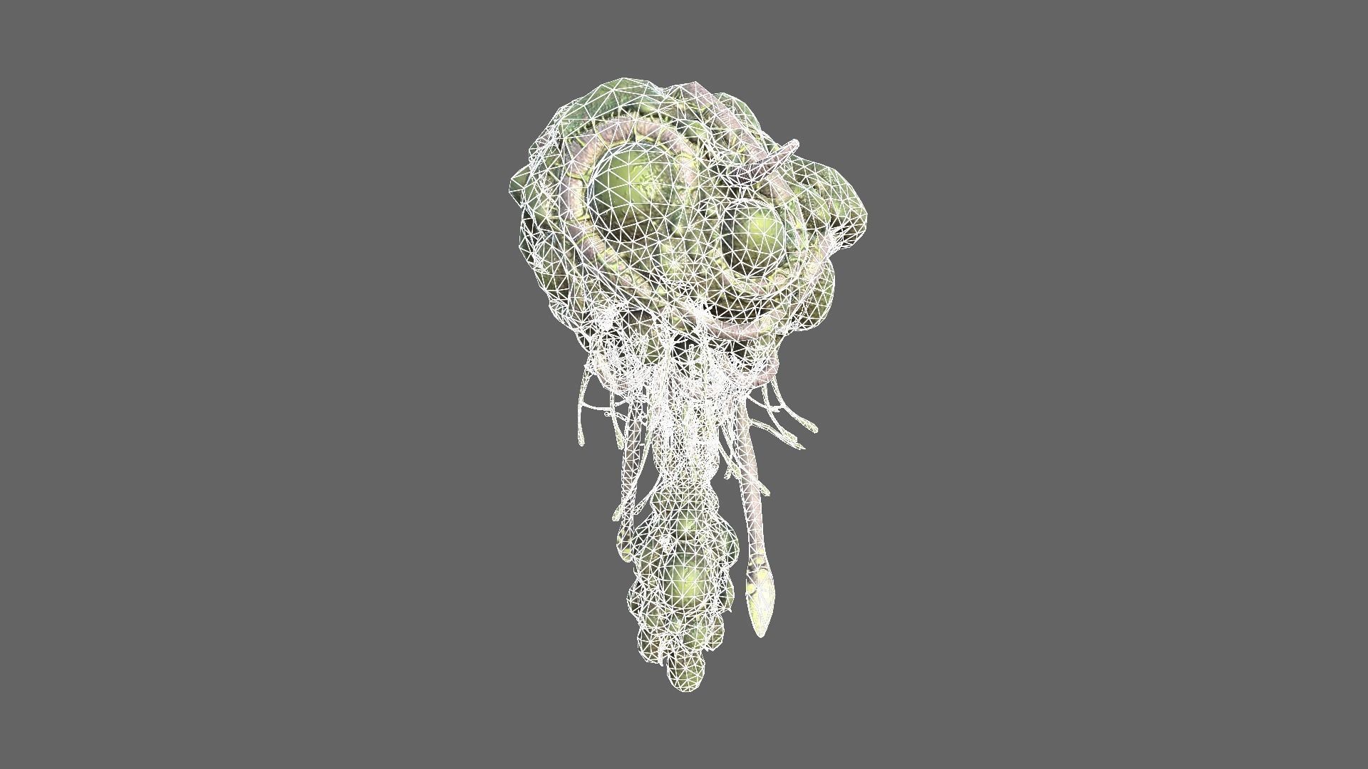 Alien Brain Low-poly 3D model_10