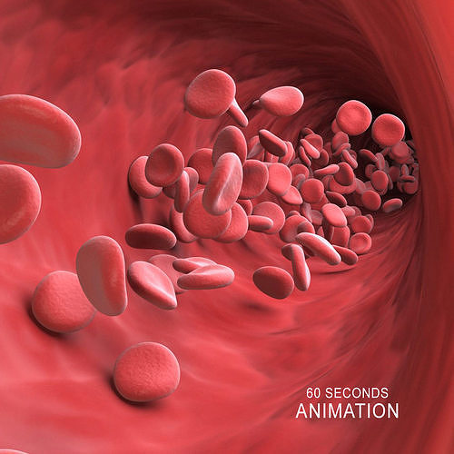 Blood Cells flowing Animation 3D model
