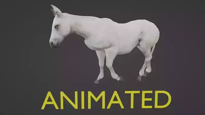 WHITE HORSE ANIMATED