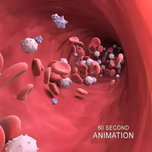 Blood Stream Micro Cells Flowing Animation 3D model