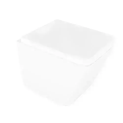 Acrylic White Toilet Bowl