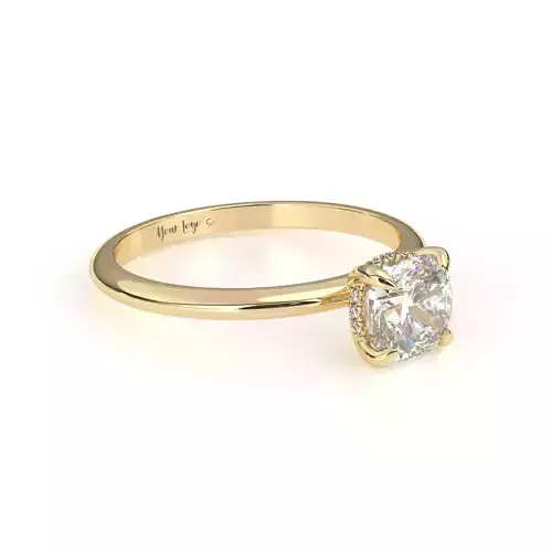 Cushion Engagement RIng