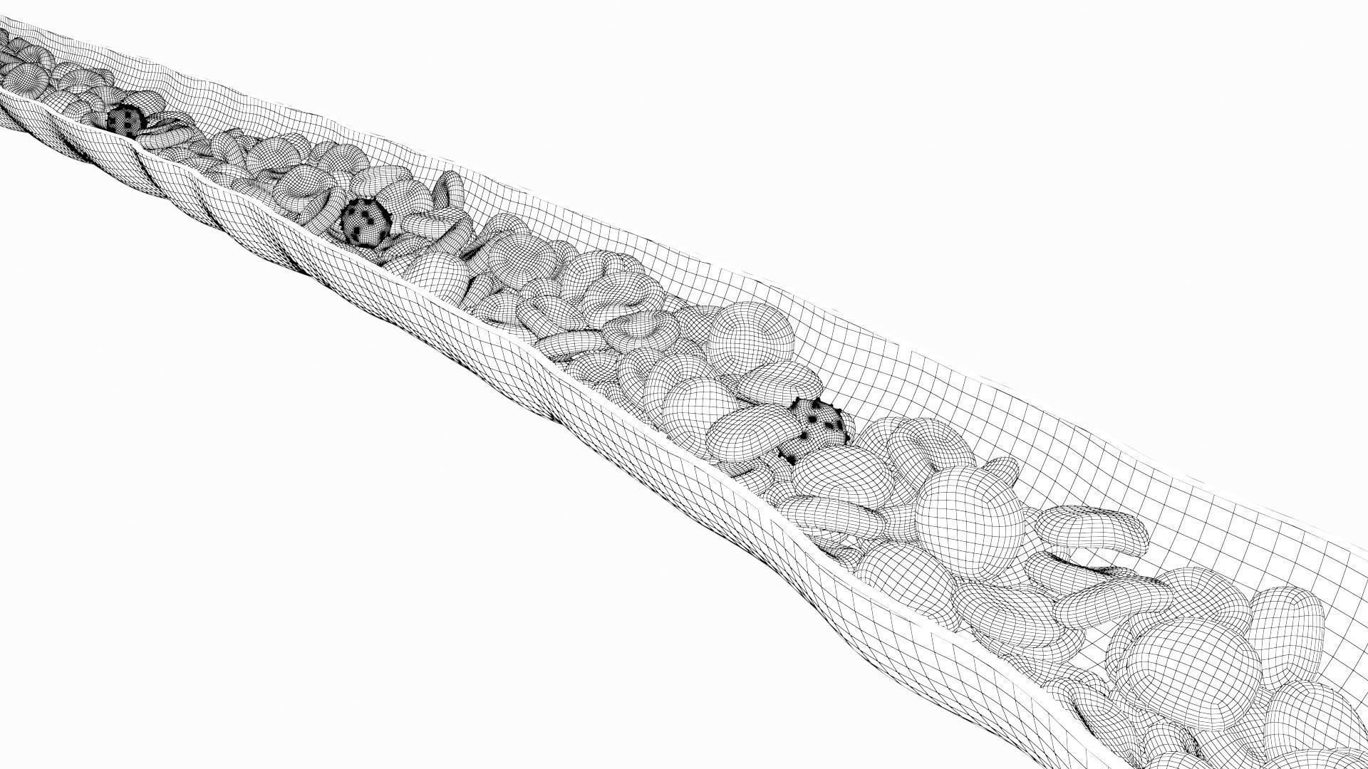 Blood Flow Vessel Heart Beat Pressure Animation 3D model_19