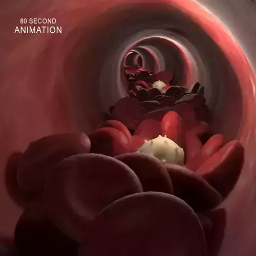 Blood Flow Vessel Heart Beat Pressure Animation 3D model