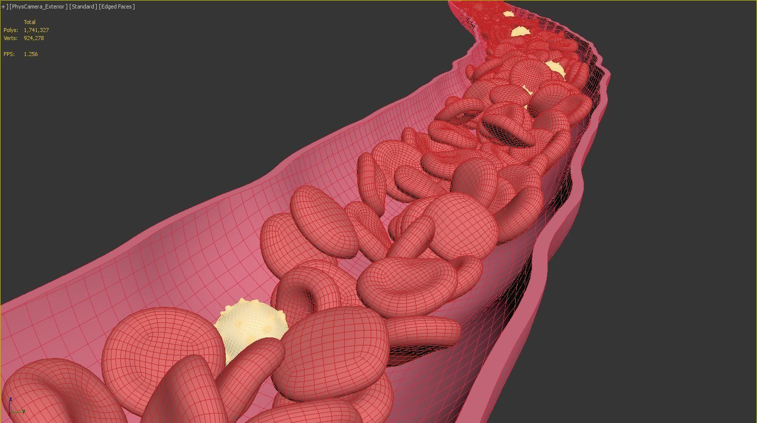 Blood Flow Vessel Heart Beat Pressure Animation 3D model_13