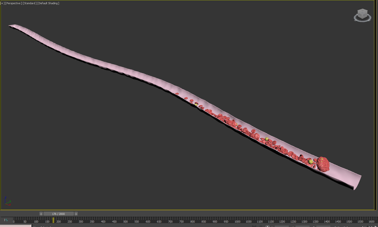 Blood Flow Vessel Heart Beat Pressure Animation 3D model_7